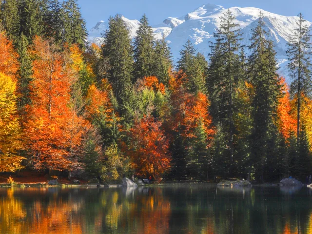 Lacvert Bouilleurdephoto 2 Hd