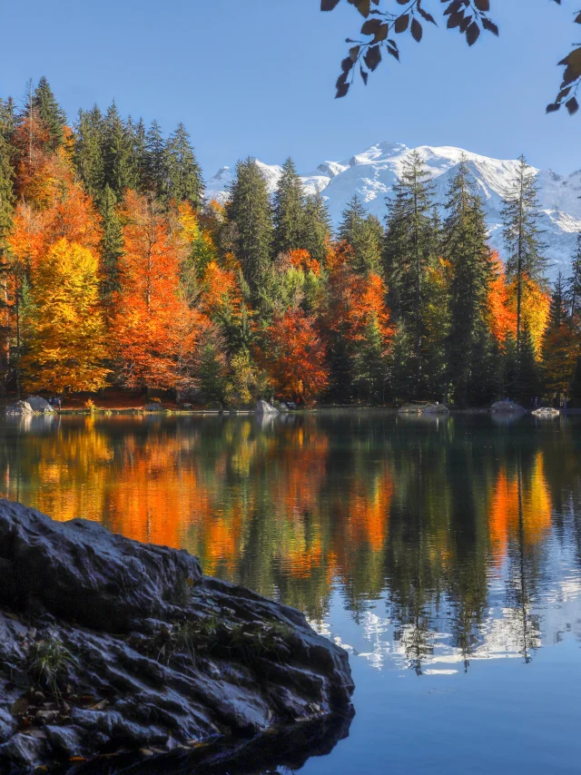 Lacvert Bouilleurdephoto 2 Hd