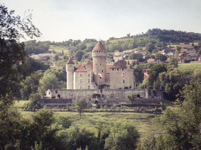 Château de Montrottier