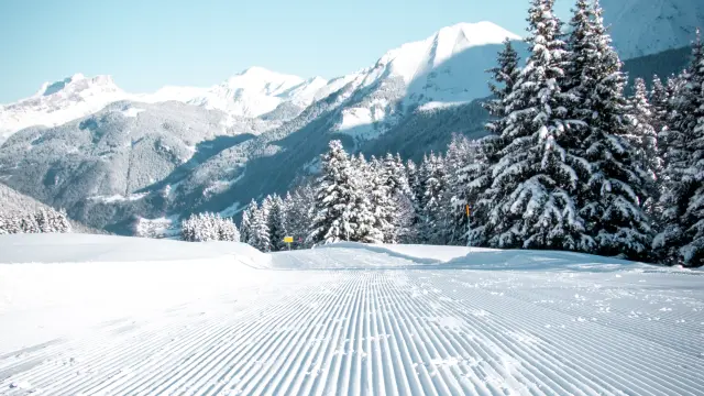 Domaine skiable hiver