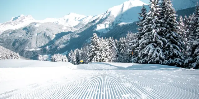 Domaine skiable hiver