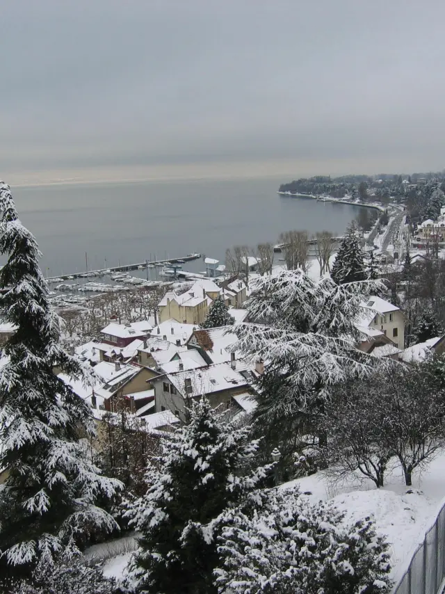 Vue du port de Thonon-les-Bains 1