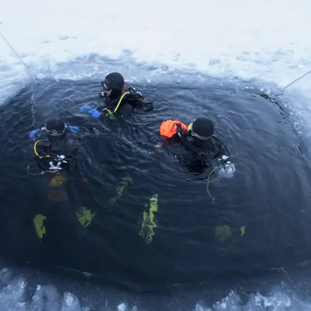 Plongée Lac Montriond