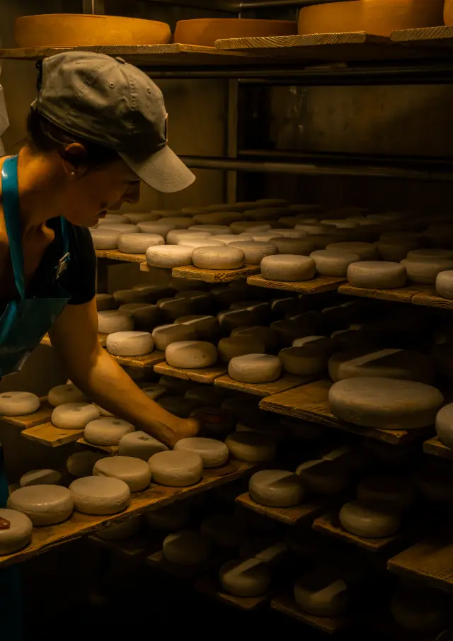 Clos aux chèvres Vallée D'aulps