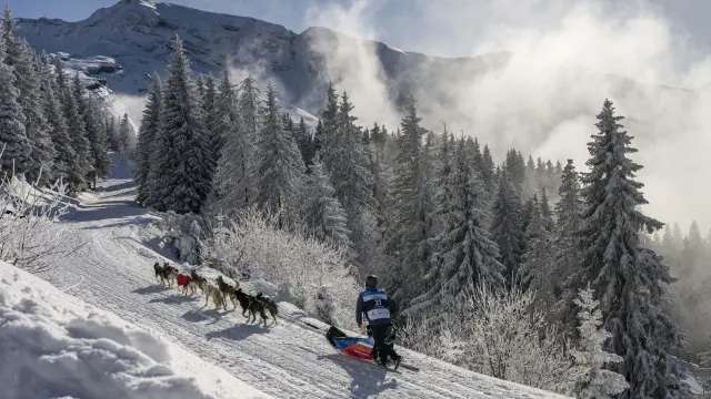 La Grande Odyssée Royal Canin