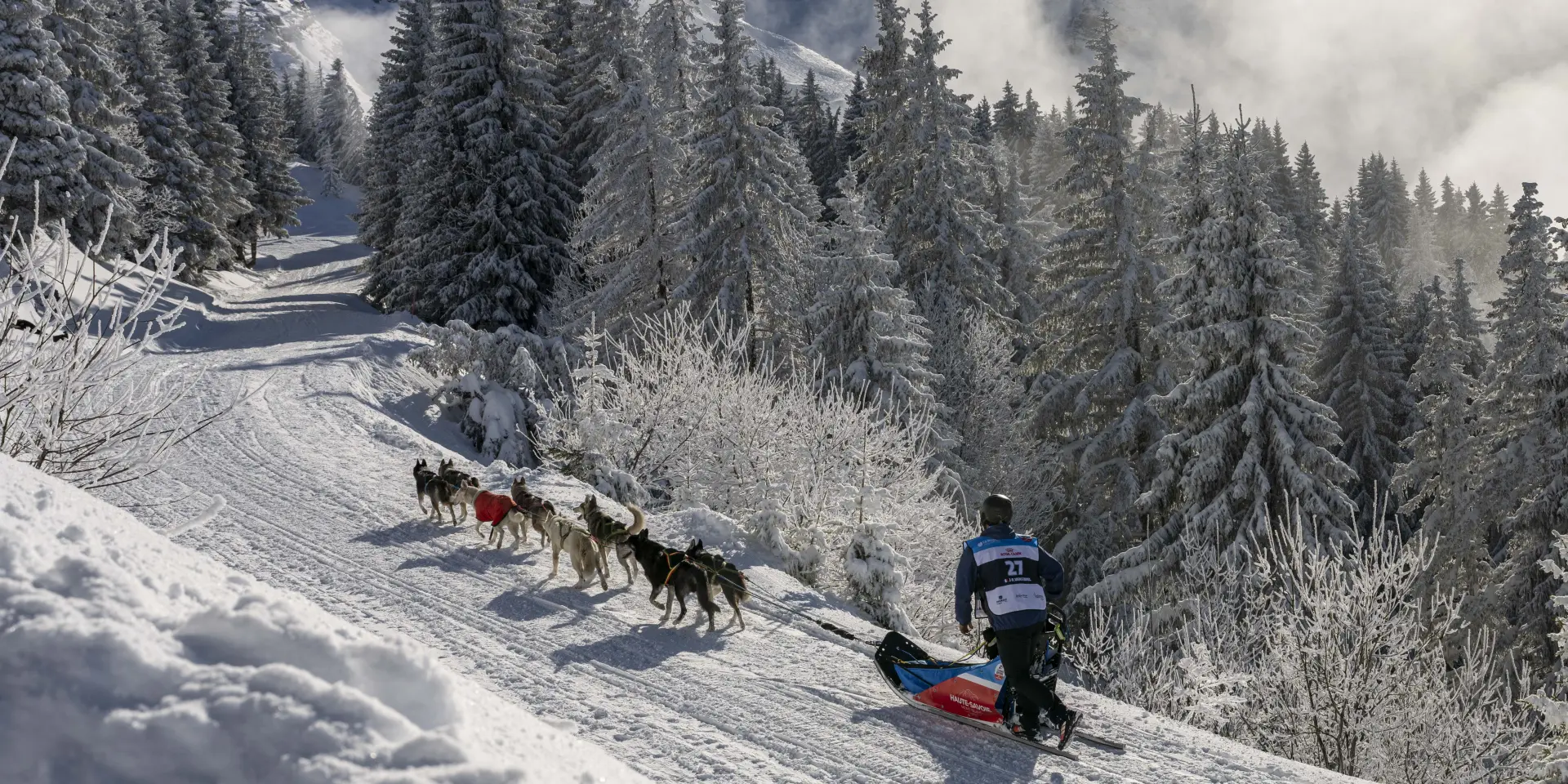 La Grande Odyssée Royal Canin
