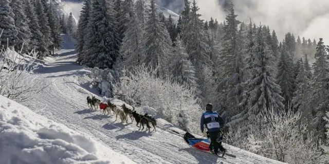 La Grande Odyssée Royal Canin