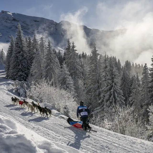 La Grande Odyssée Royal Canin