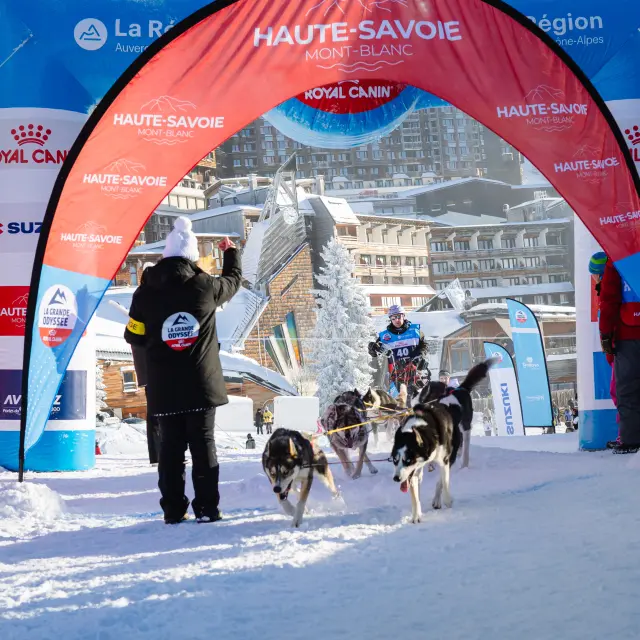 La Grande Odyssée Royal Canin