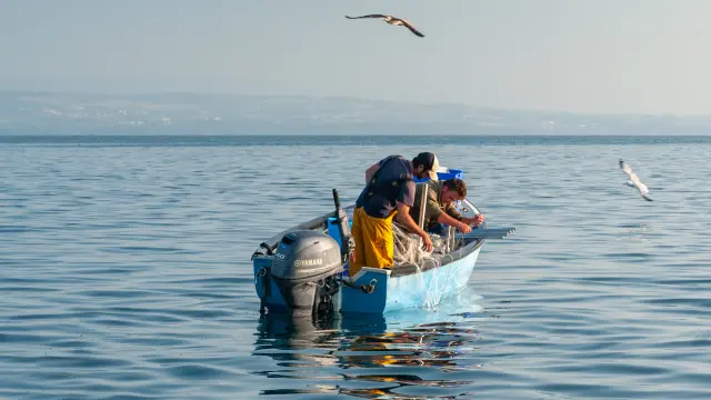 Pêche sur le Léman
