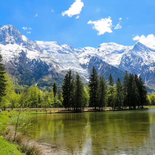 Peche Lac Des Gaillands