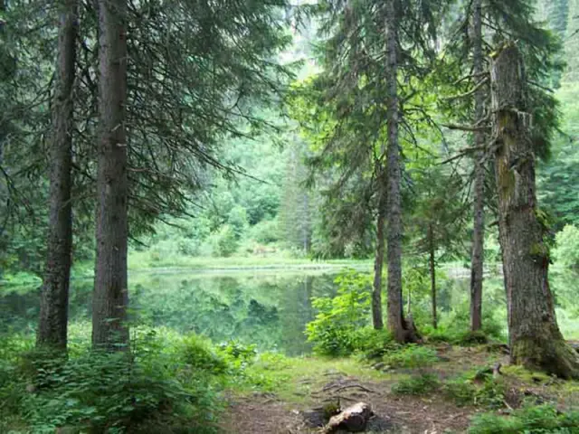 Lac Petetoz