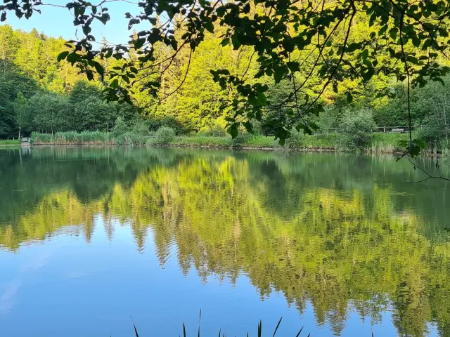 Lac de la Crossetaz Habere Lullin