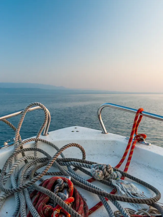 Photographe professionnelle