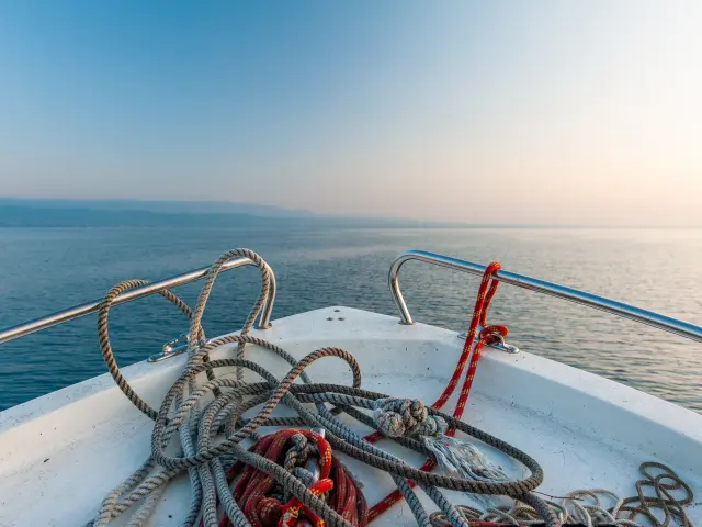 Photographe professionnelle