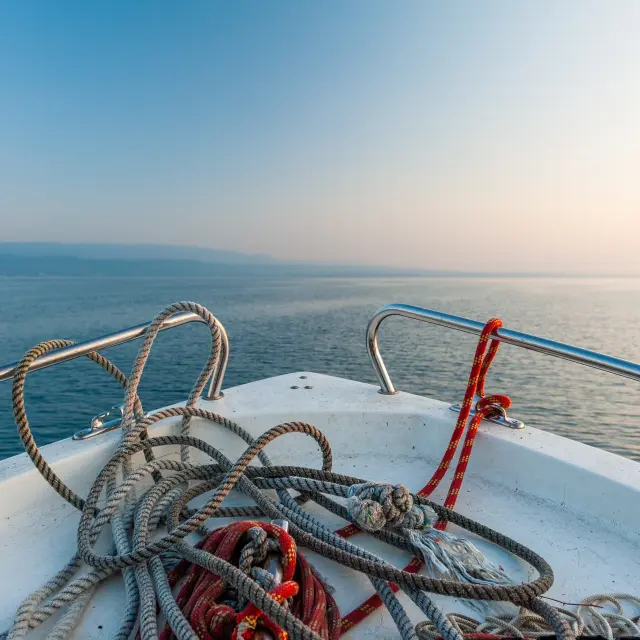 Photographe professionnelle