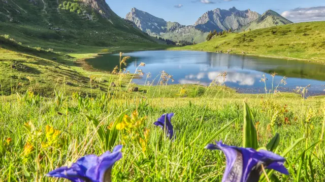 Lac de Roy Praz de Lys Sommand