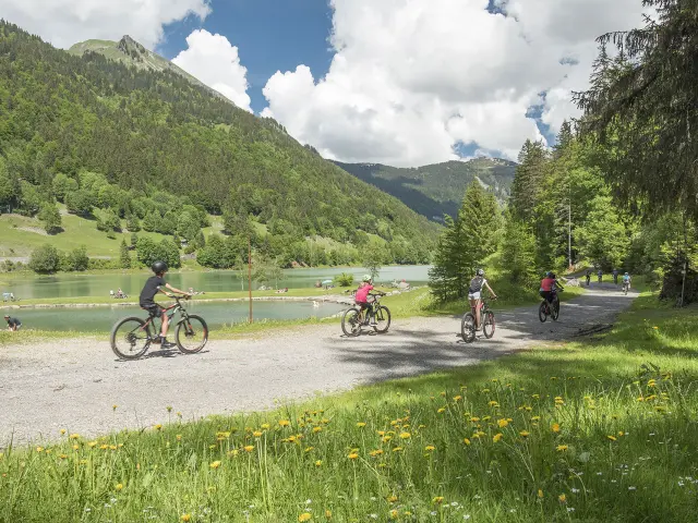 VTT Lac Montriond