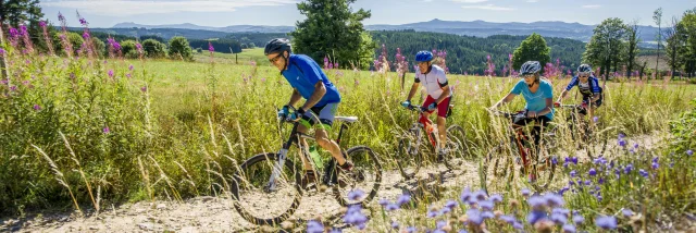 Mountain biking on the Haut-Lignon