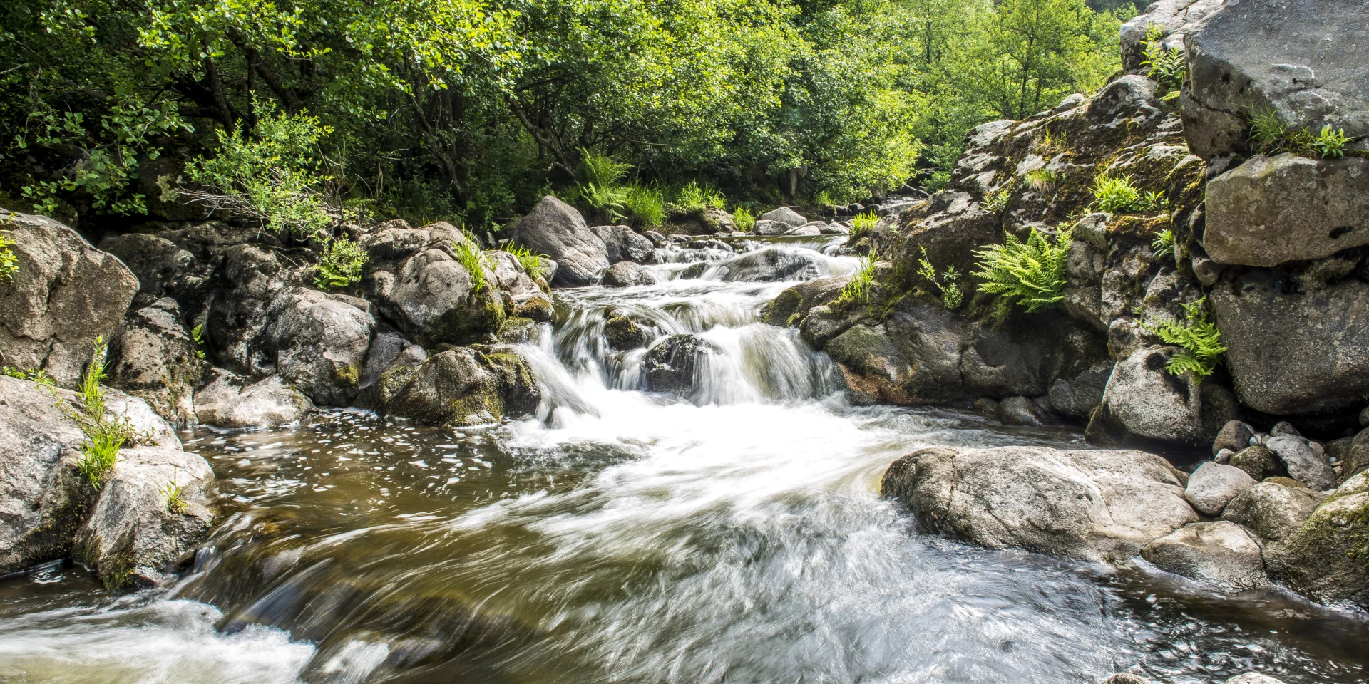 River le Lignon