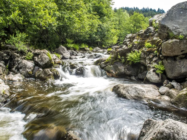 River le Lignon