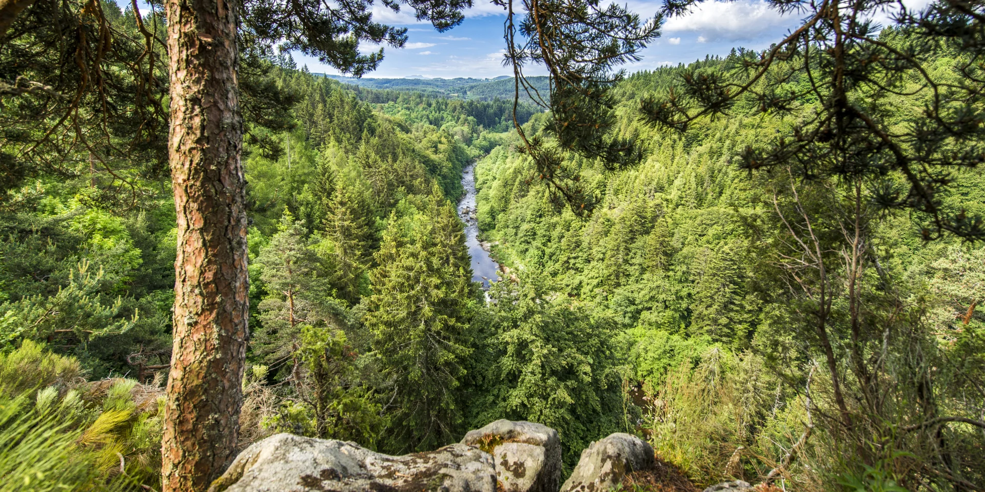 Gorges du Lignon seen from the D103 road between Chambon-sur-Lignon and Tence