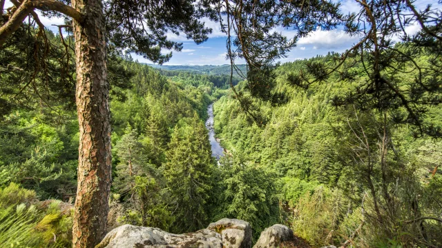 Gorges du Lignon vue depuis la route D103 entre Chambon-sur-Lignon et Tence