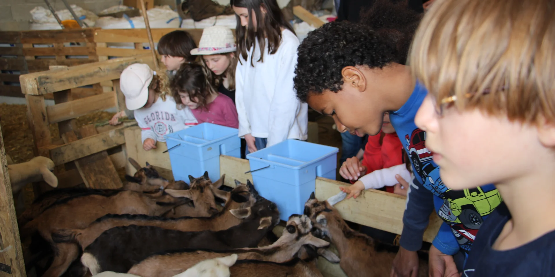 Labergerieduvieuxmoulinenf3