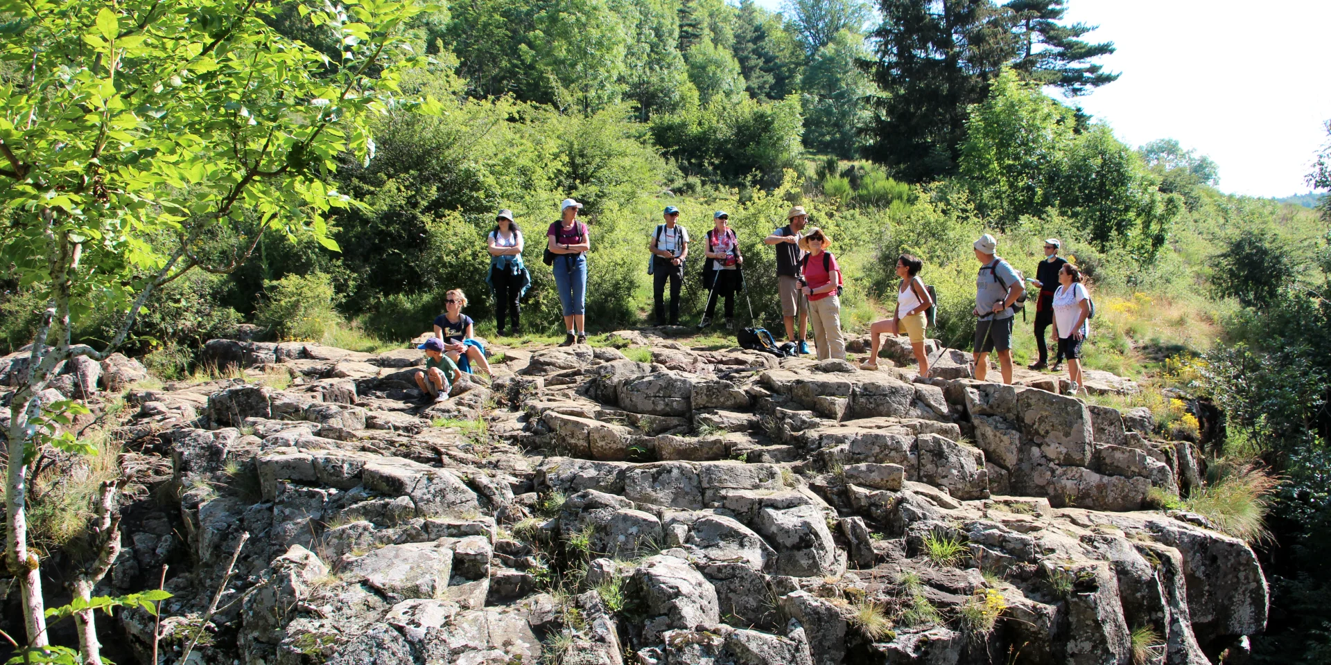 Office De Tourisme Du Haut Lignon Sortie Marmotte