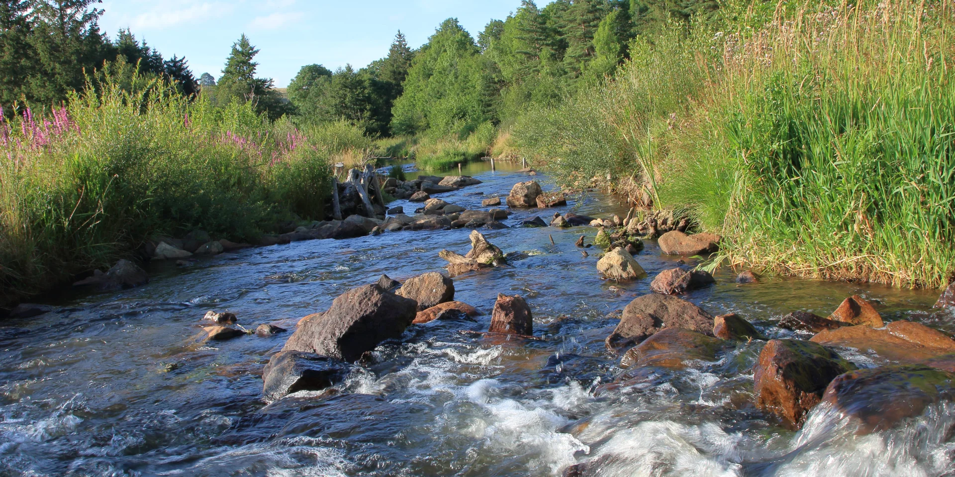 Riviere