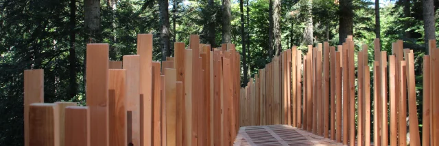 Halfway through the woods, at Lambert Wood