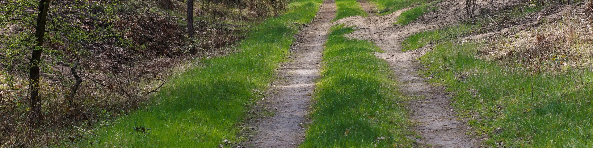 Path