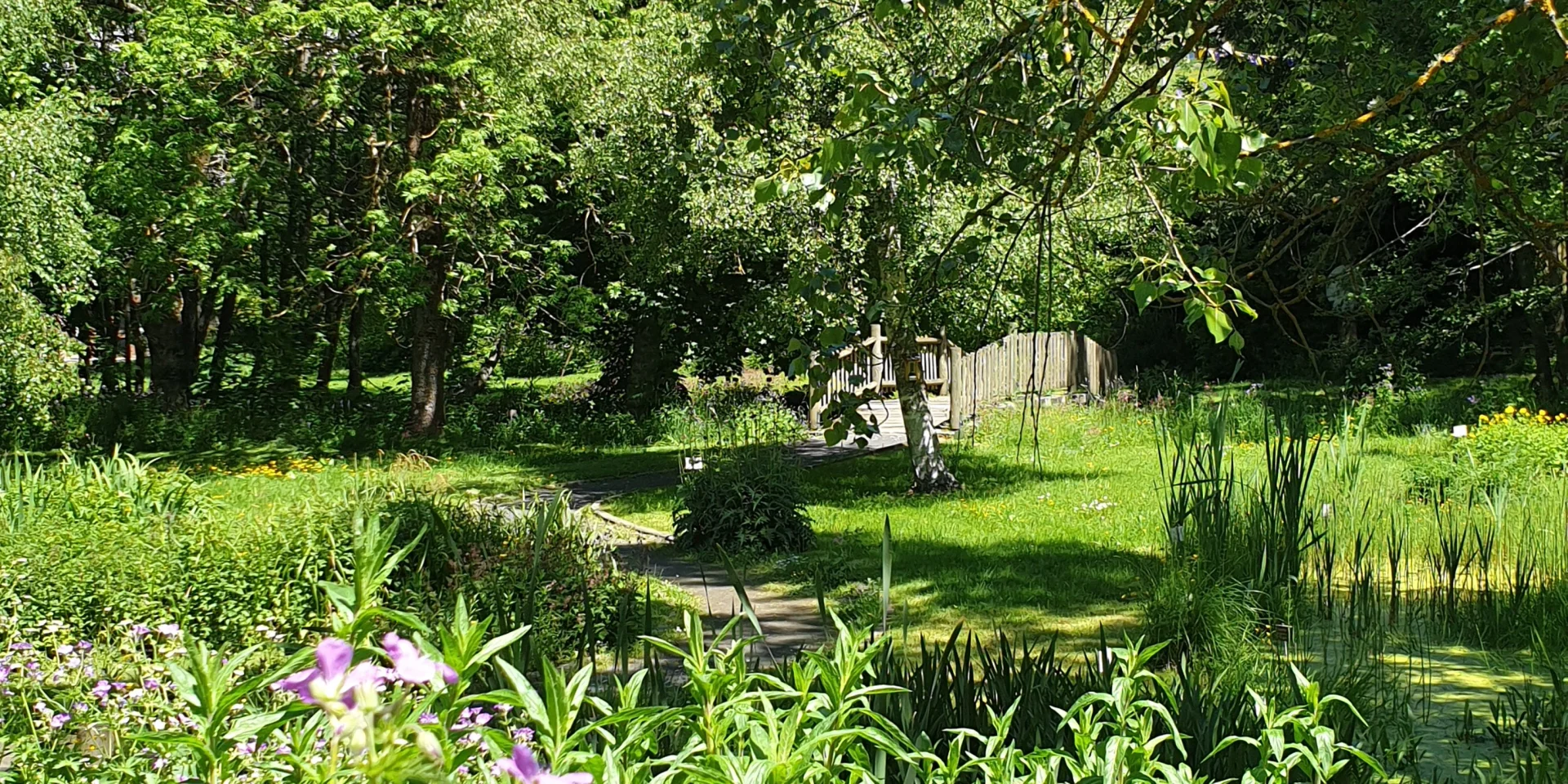 Jardin botanique