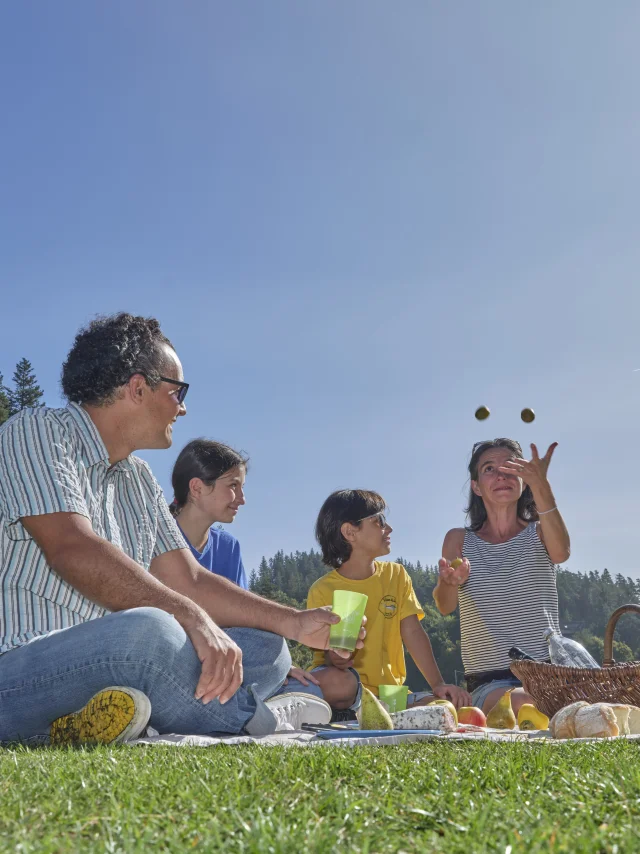 Picnic on the Beach