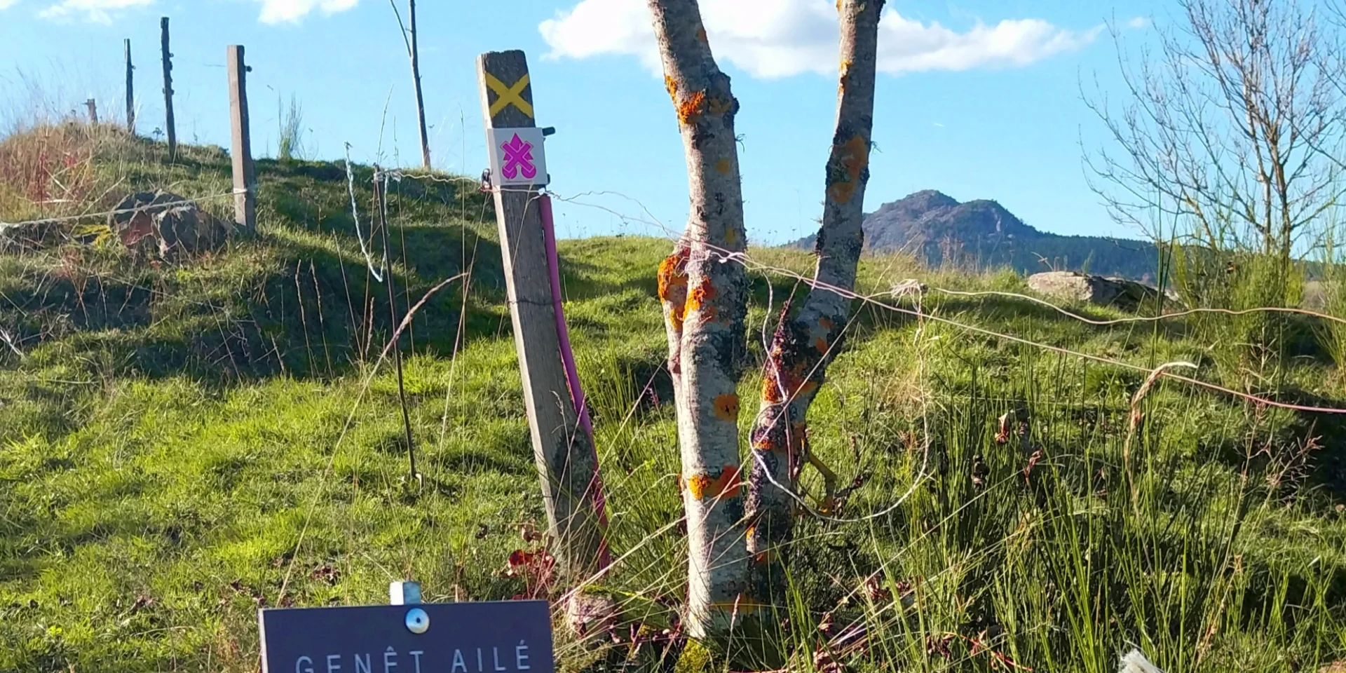 Chemin botanique du Mazet