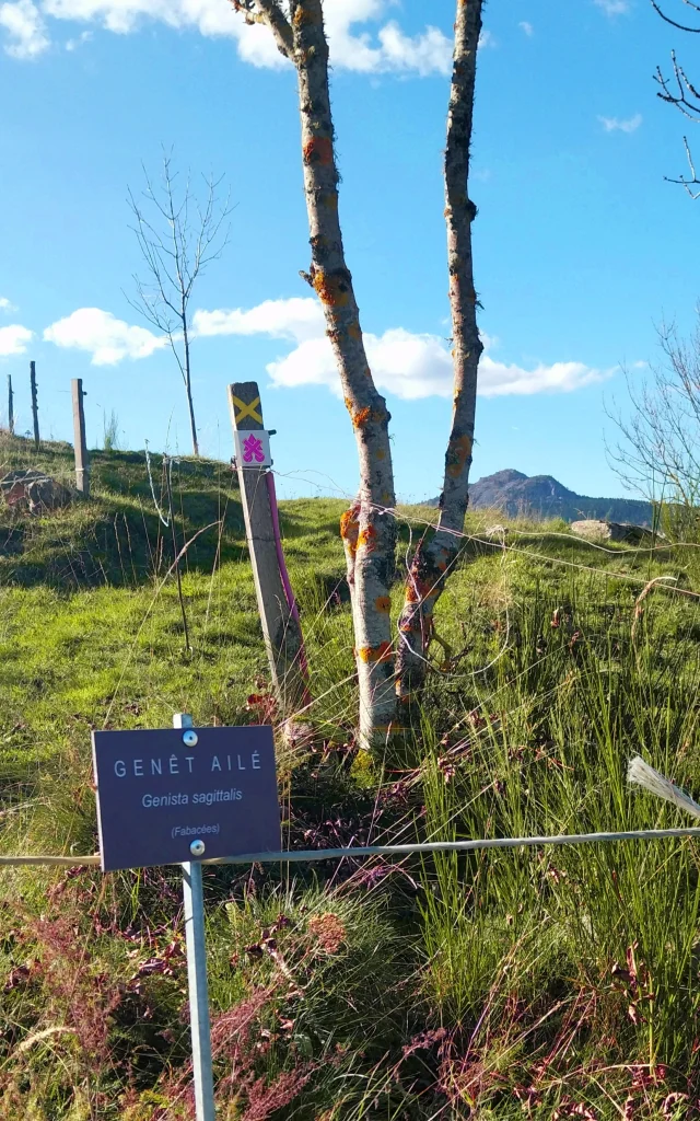 Chemin botanique du Mazet