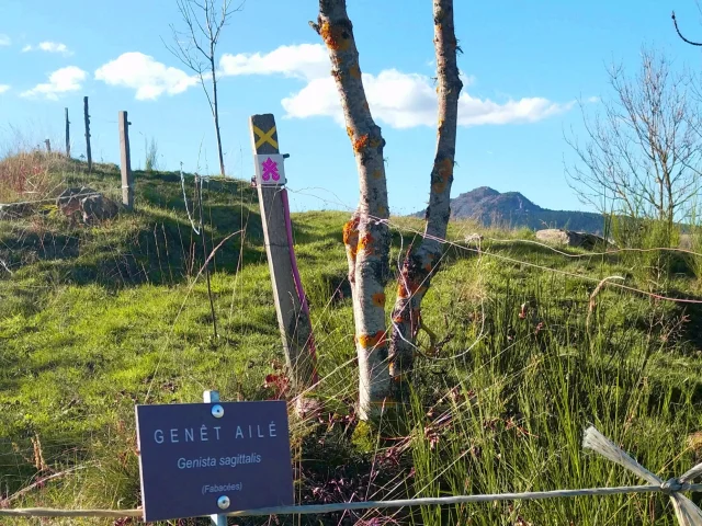 Chemin botanique du Mazet