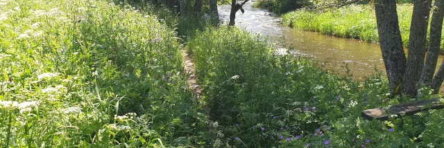 Concordia Trail