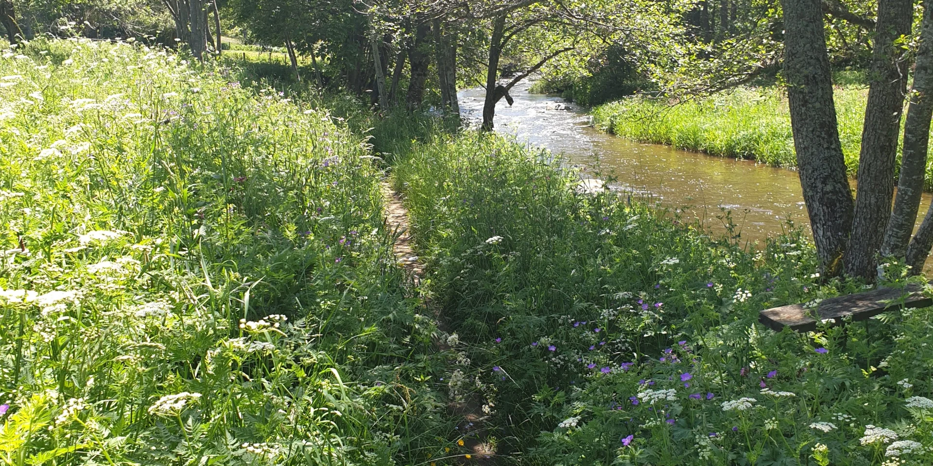 Sentier Concordia