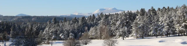 Mézenc enneigé depuis le golf du Chambon-sur-Lignon