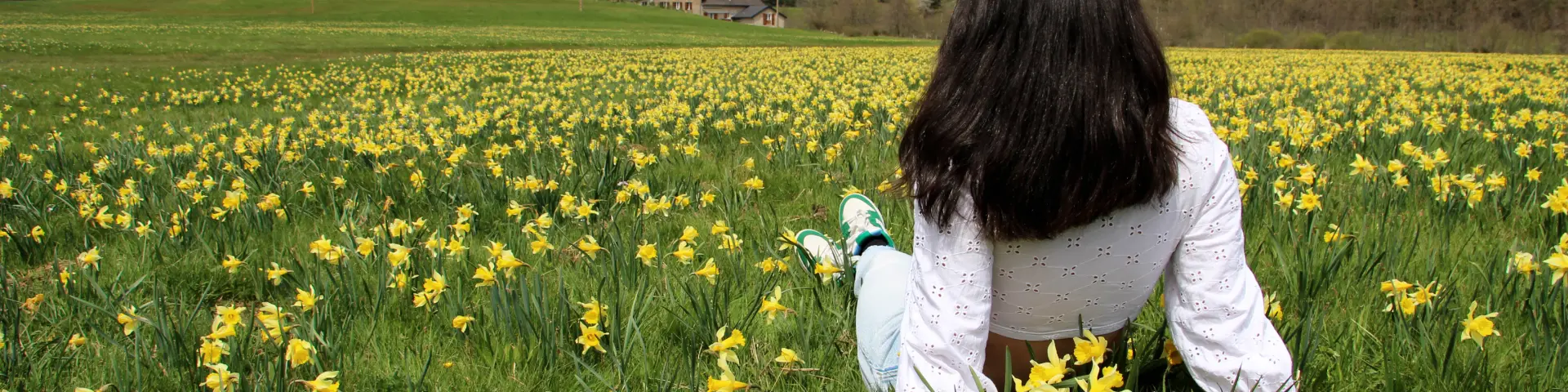 Fille Dans Un Champs De Jonquilles Tence Chloe Ruel