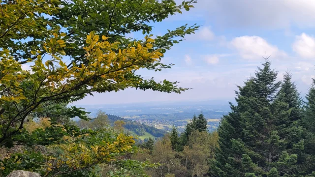 Plateau du Lizieux