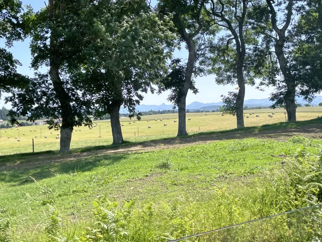 Monts d'Ardèche