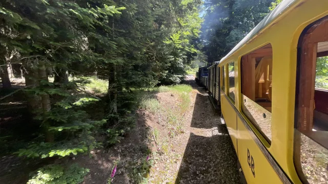 Wagon Velay-Express et forêt