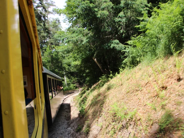 A travers bois depuis le Velay-Express