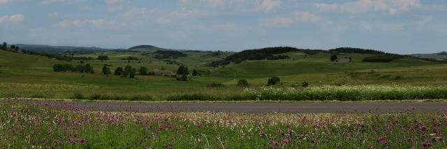 Panorama d'été à proximité de la Pierre Plantée au Mazet-Saint-Voy