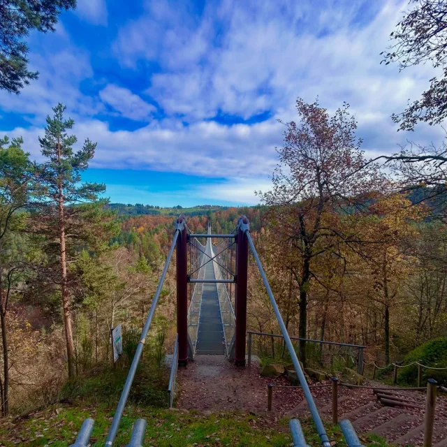 Instagram #hautlignon