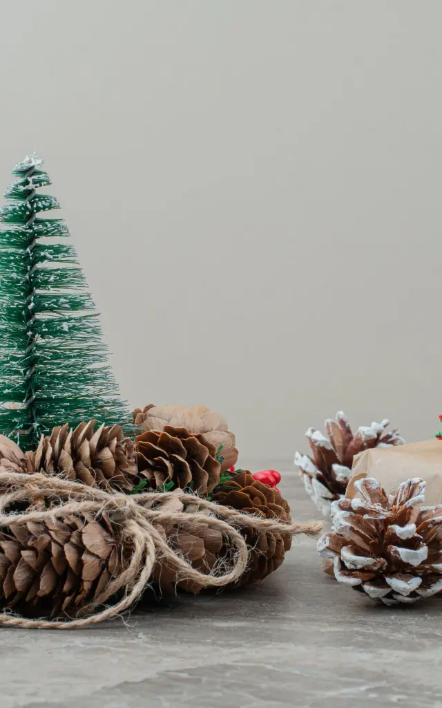 Noel 2025 Haut Lignon