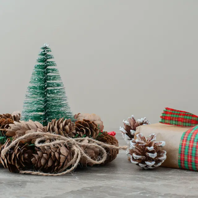 Noel 2025 Haut Lignon