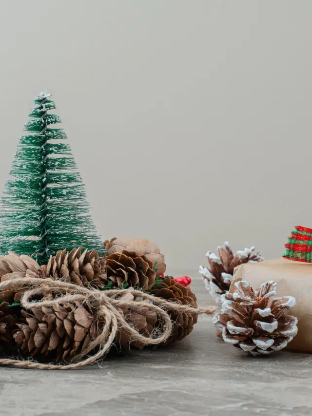 Noel 2025 Haut Lignon